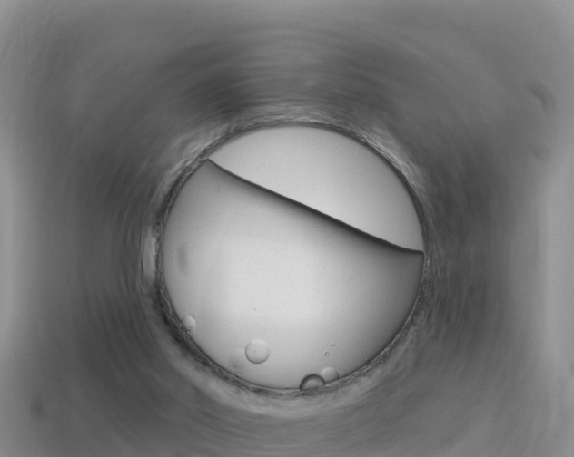 X0000114420014200910161104