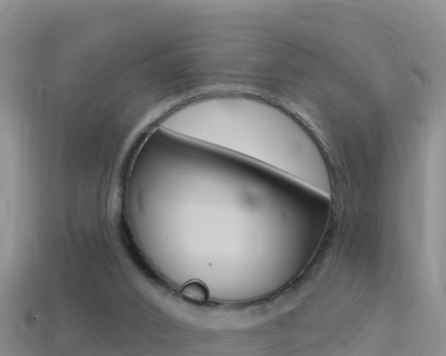 X0000114420016200910161104