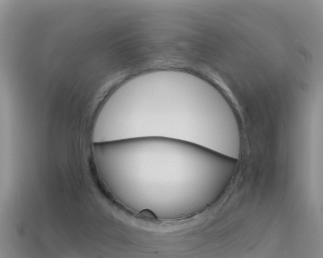 X0000114420019200910161104