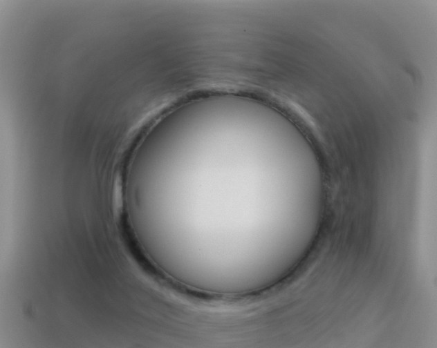X0000114420020200910161104