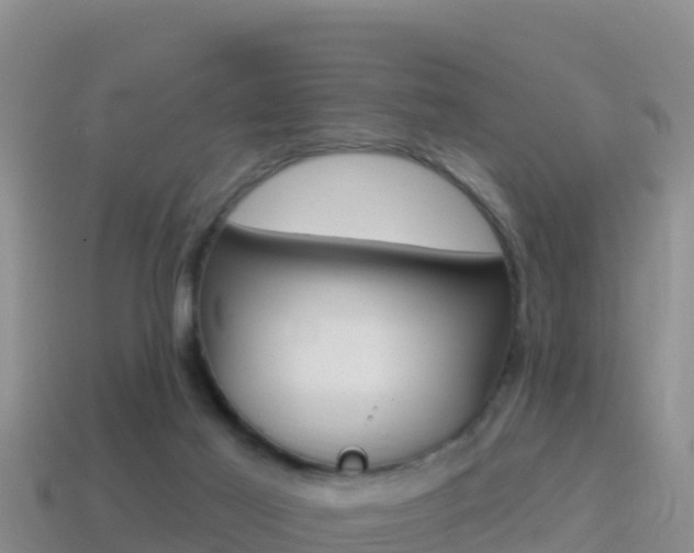 X0000114420021200910161104