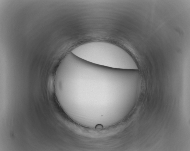 X0000114420022200910161104