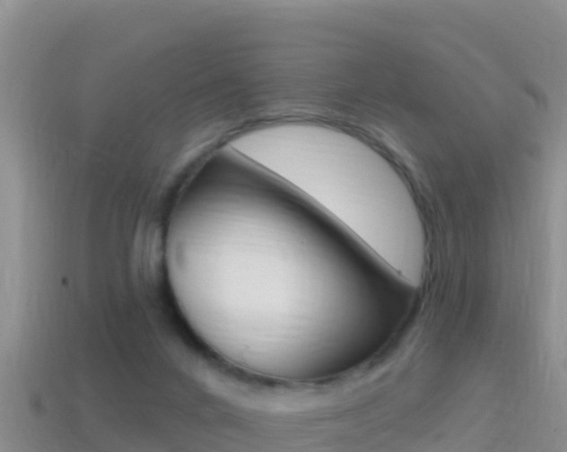 X0000114420024200910161104