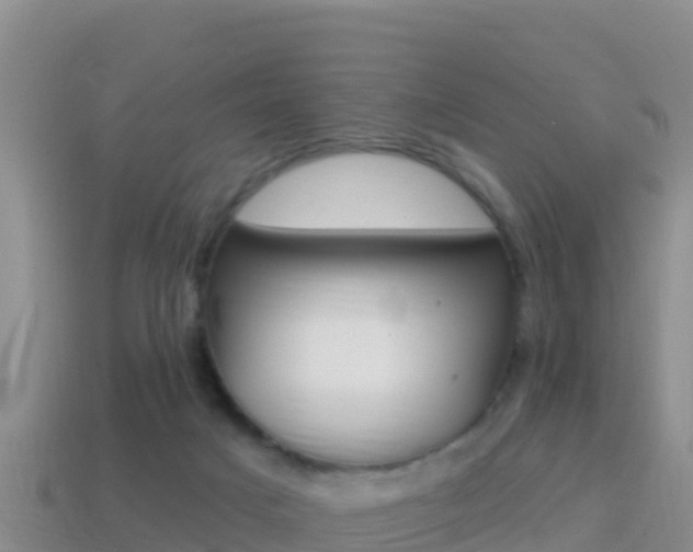 X0000114420025200910161104