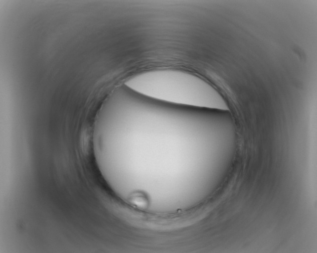 X0000114420026200910161104