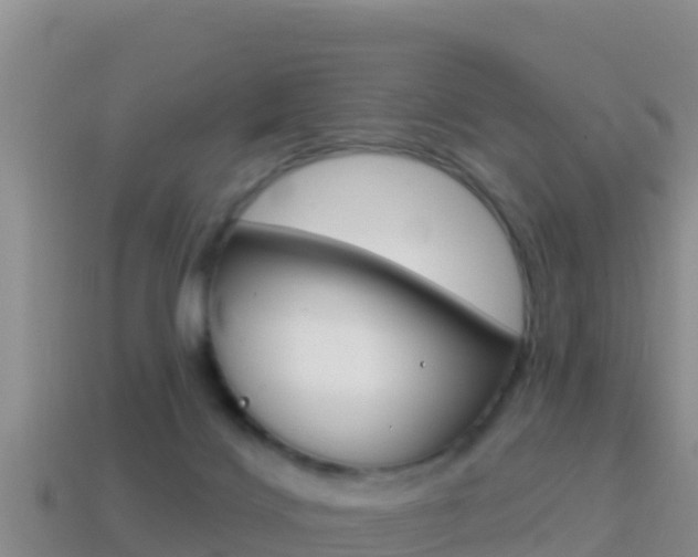 X0000114420028200910161104