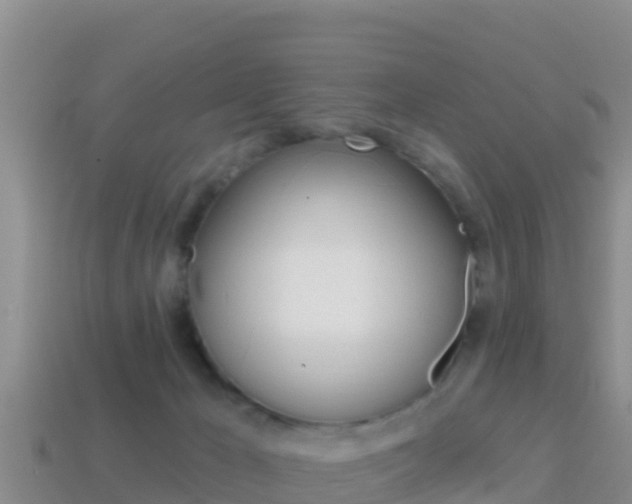 X0000114420029200910161104