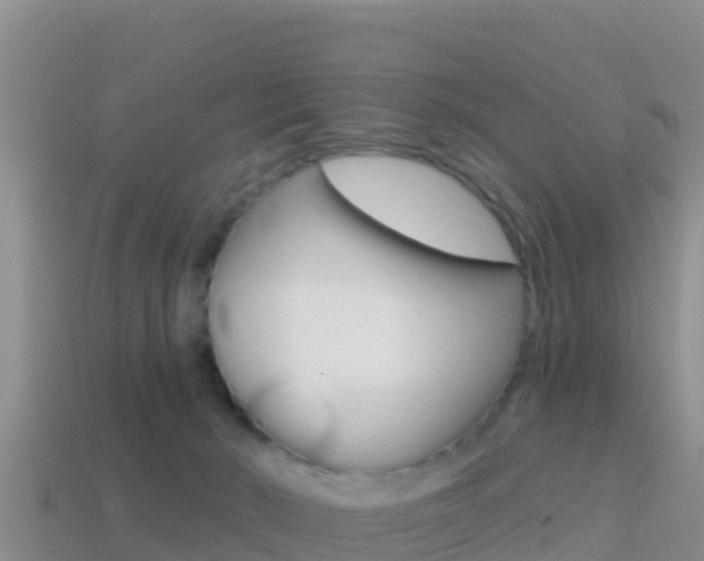 X0000114420030200910161104