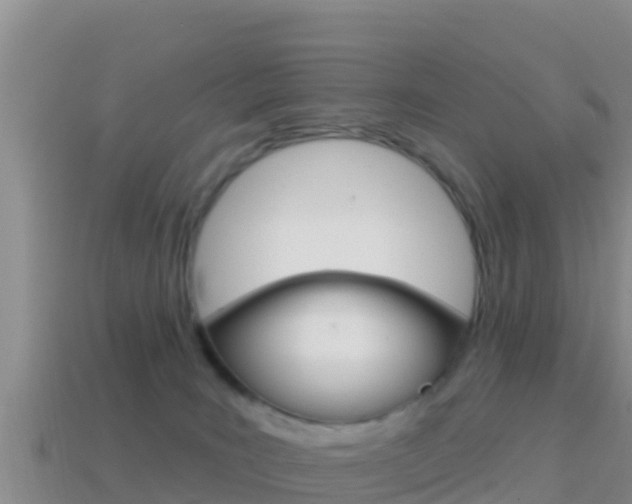 X0000114420035200910161104