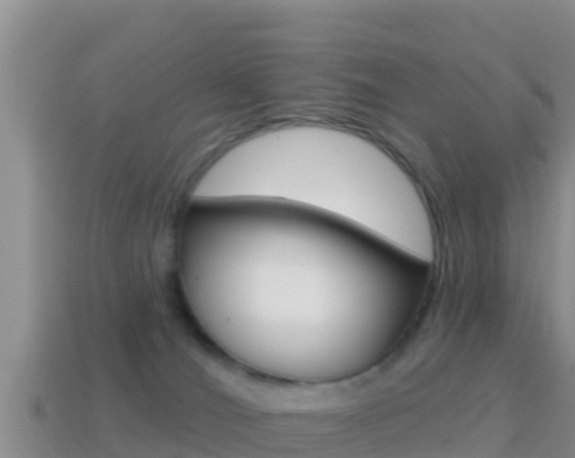X0000114420036200910161104
