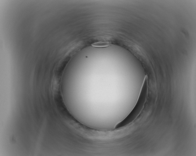 X0000114420037200910161104
