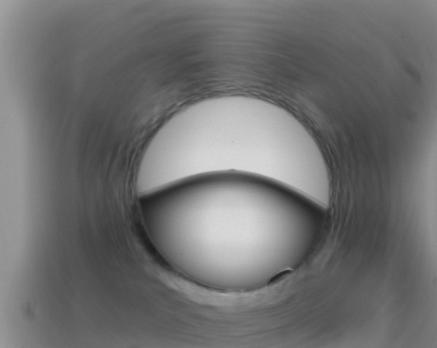 X0000114420039200910161104
