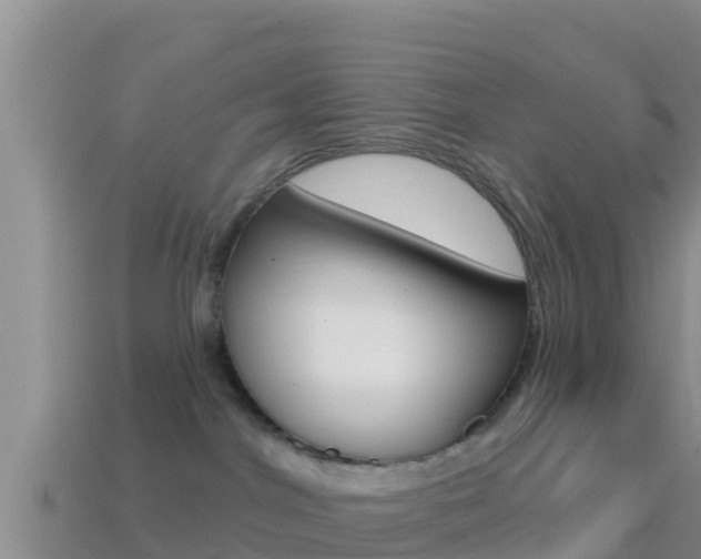 X0000114420044200910161104