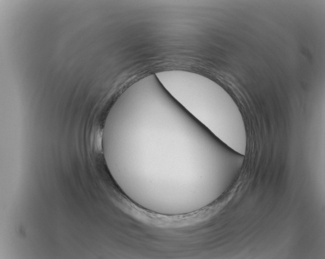 X0000114420046200910161103