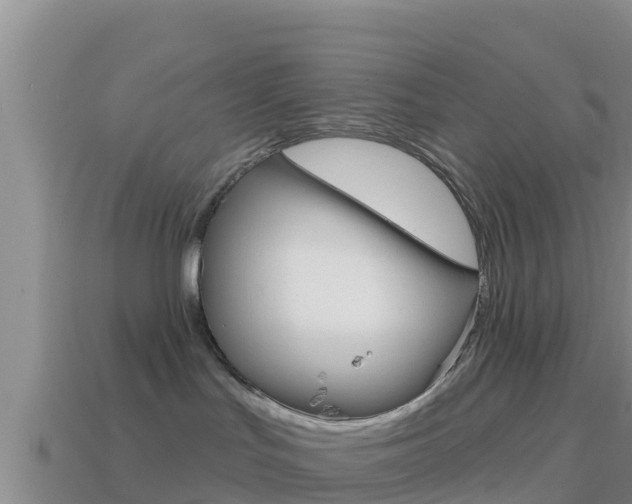 X0000114420047200910161103