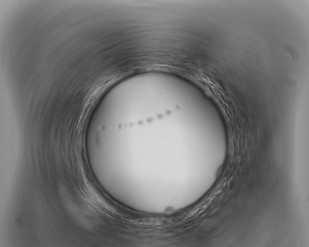 X0000114420049200910161103