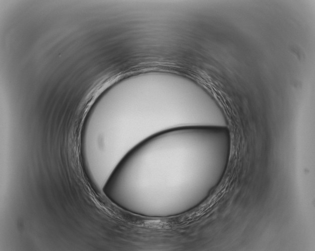 X0000114420050200910161103