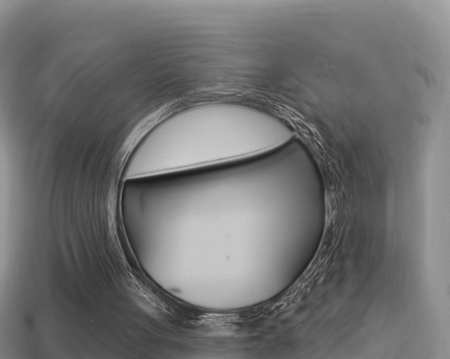 X0000114420051200910161103