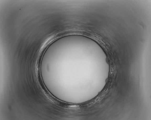 X0000114420053200910161103