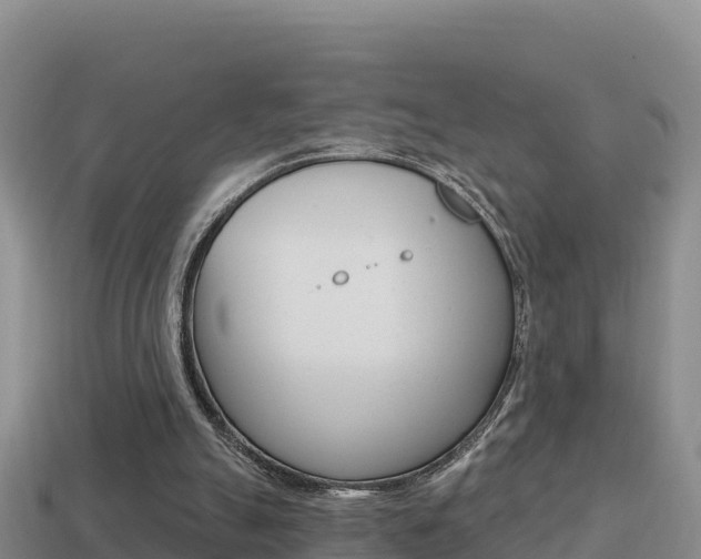 X0000114420055200910161103