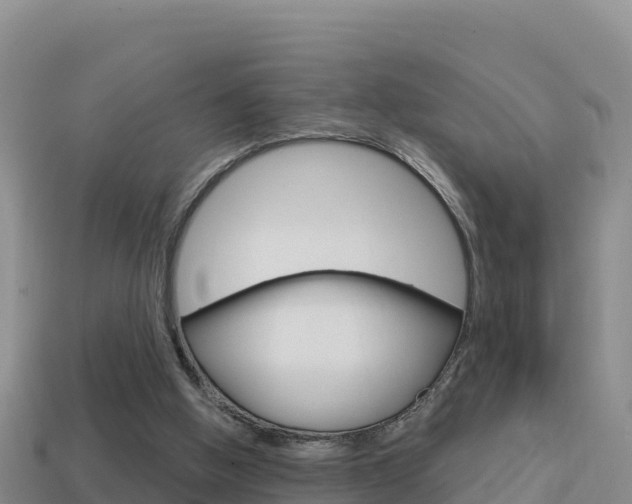 X0000114420058200910161103