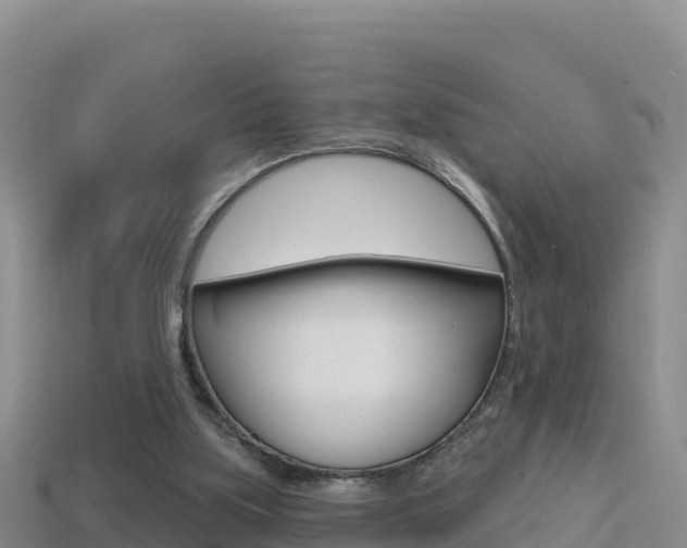 X0000114420059200910161103