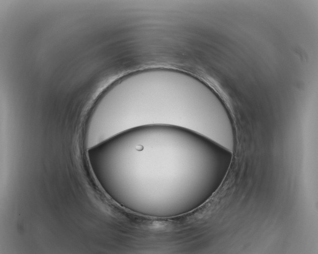 X0000114420060200910161103