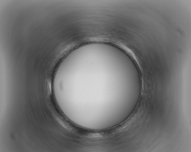 X0000114420061200910161103