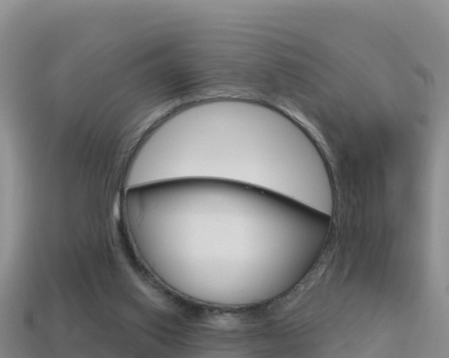 X0000114420062200910161103