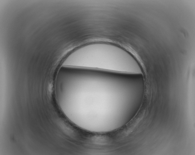 X0000114420063200910161103