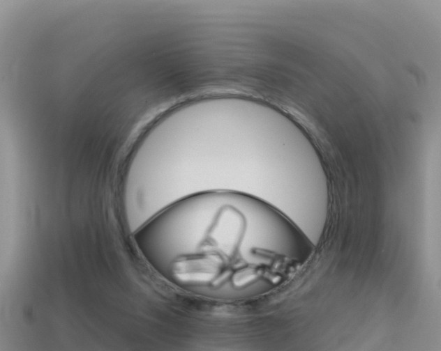 X0000114420064200910161103