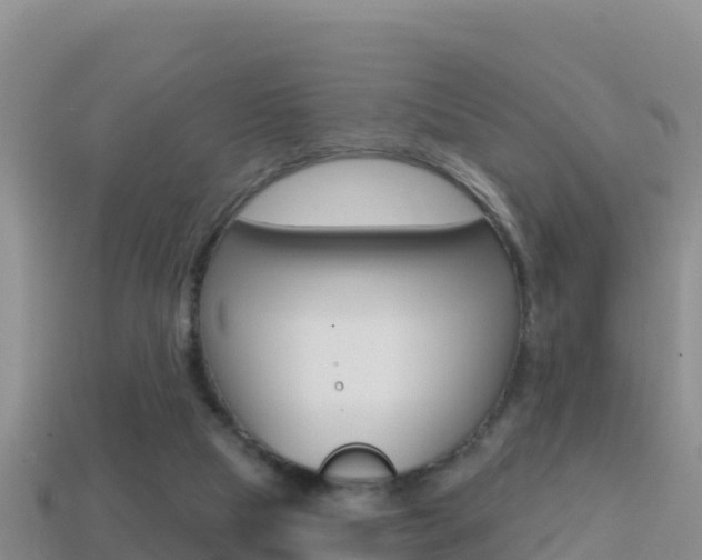 X0000114420065200910161103