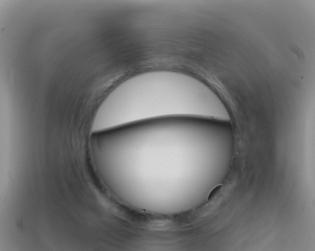 X0000114420066200910161103