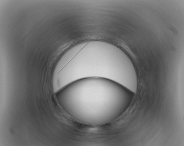 X0000114420068200910161103