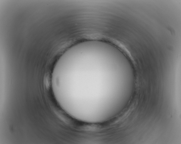 X0000114420069200910161103