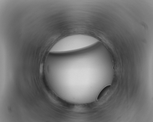 X0000114420070200910161103