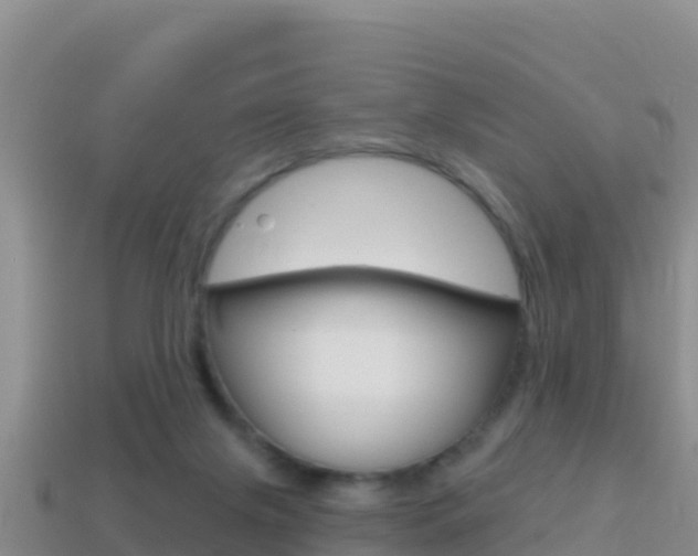 X0000114420071200910161103
