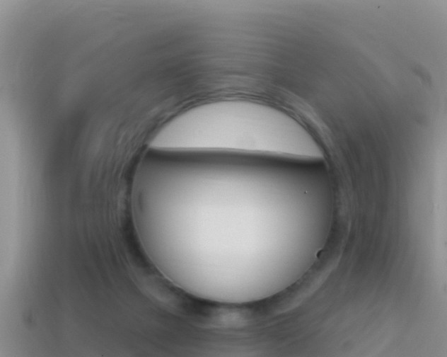 X0000114420073200910161103