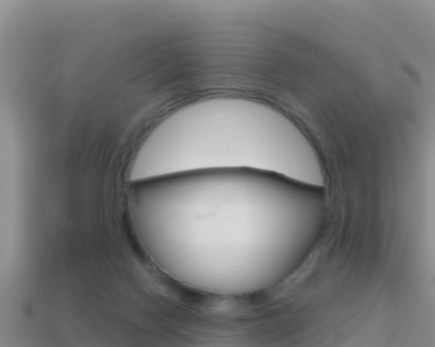 X0000114420074200910161103