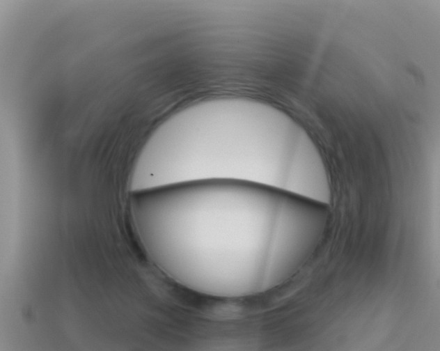 X0000114420075200910161103