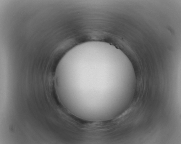 X0000114420078200910161103