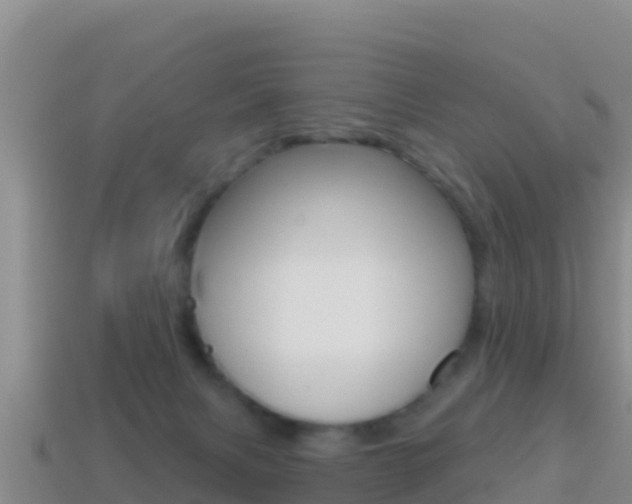 X0000114420079200910161103