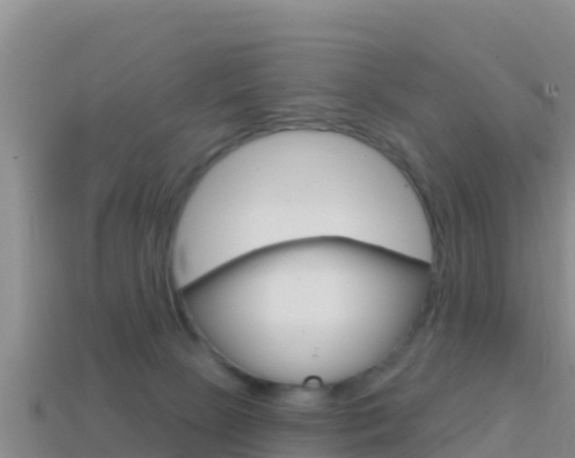 X0000114420081200910161103