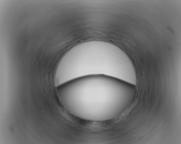 X0000114420082200910161103