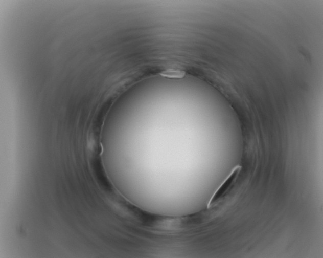 X0000114420084200910161103