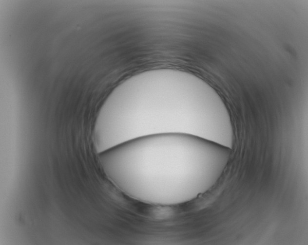 X0000114420085200910161103
