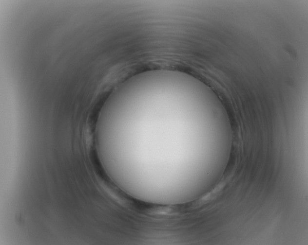 X0000114420086200910161103