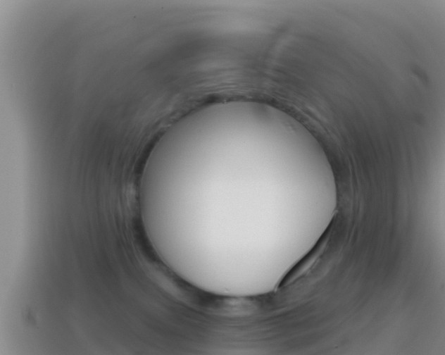 X0000114420087200910161103