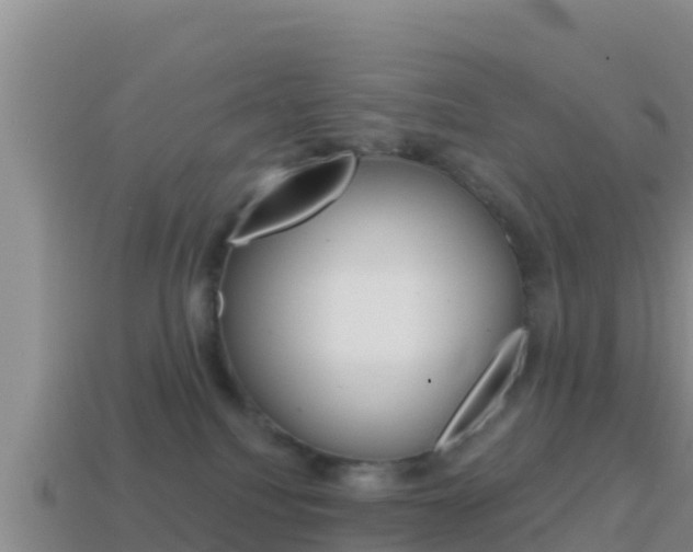 X0000114420088200910161103