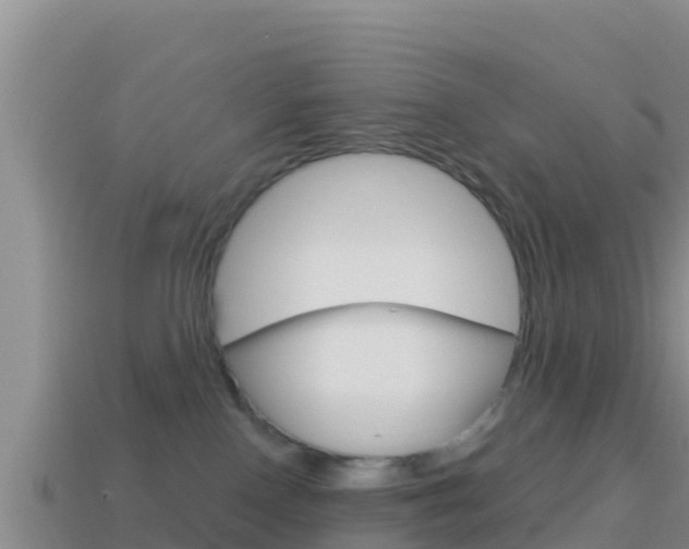 X0000114420090200910161103